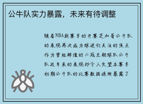 公牛队实力暴露，未来有待调整